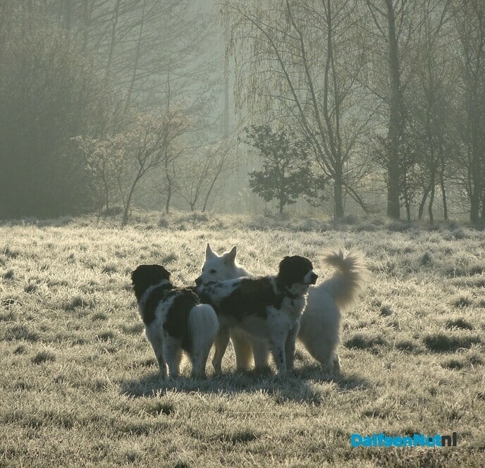 Heerlijk lenteweer - Foto: Ingezonden foto