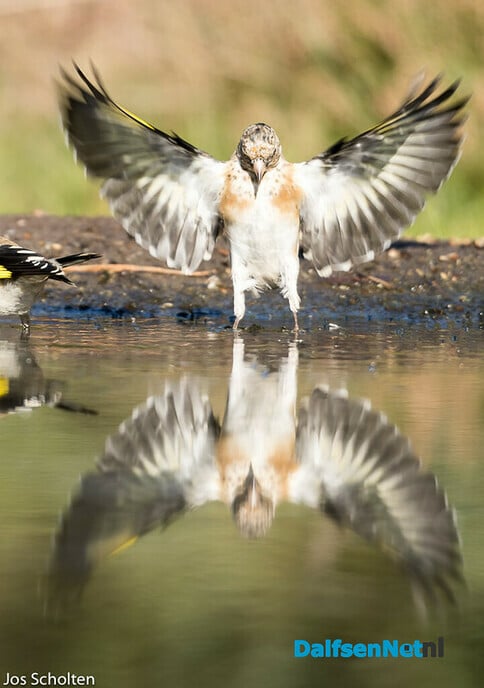 “Urbi at orbi” - Foto: Ingezonden foto