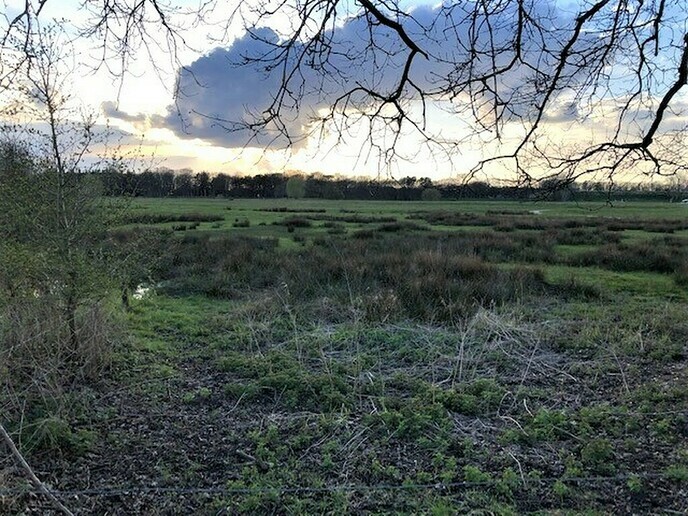 Mooie avond bij Rechteren - Foto: Ingezonden foto
