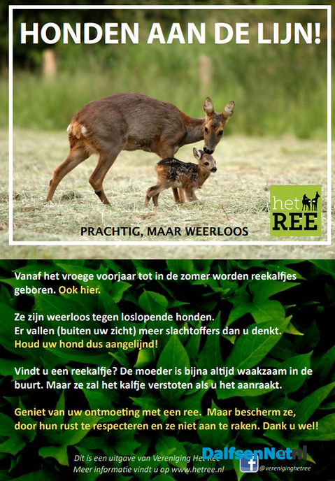 Posters denk aan de reekalfjes