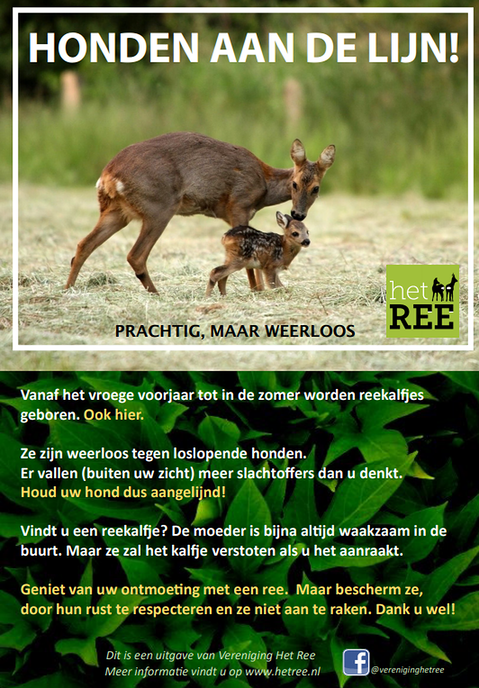 Geniet, maar bescherm ze