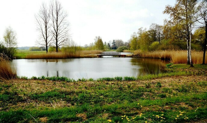 Bellingeweer - Foto: Ingezonden foto
