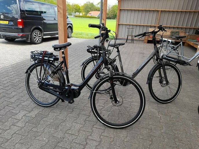 De familie Snijder gaat elektrisch