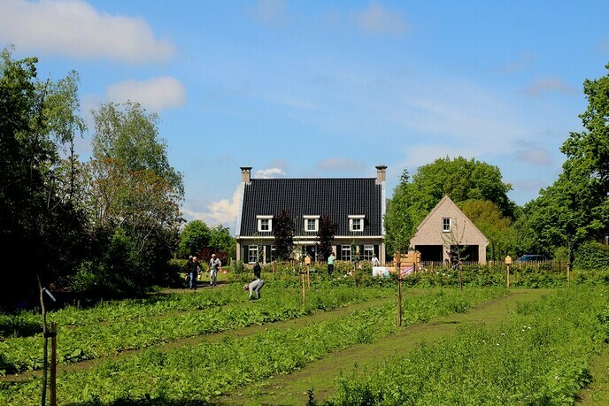 Nederland doet: Bloementuin ”De Enk“
