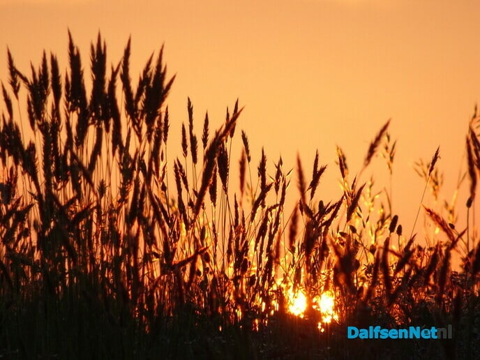 Wat een mooie avond - Foto: Ingezonden foto