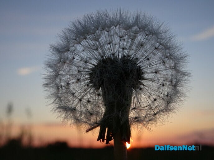 Wat een mooie avond - Foto: Ingezonden foto