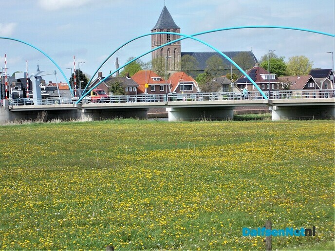 Dalfsen geel van de paardenbloemen