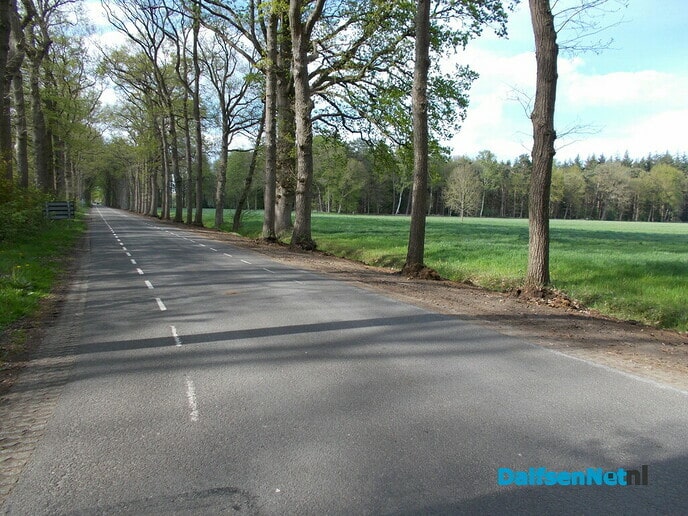 Groot onderhoud bermen