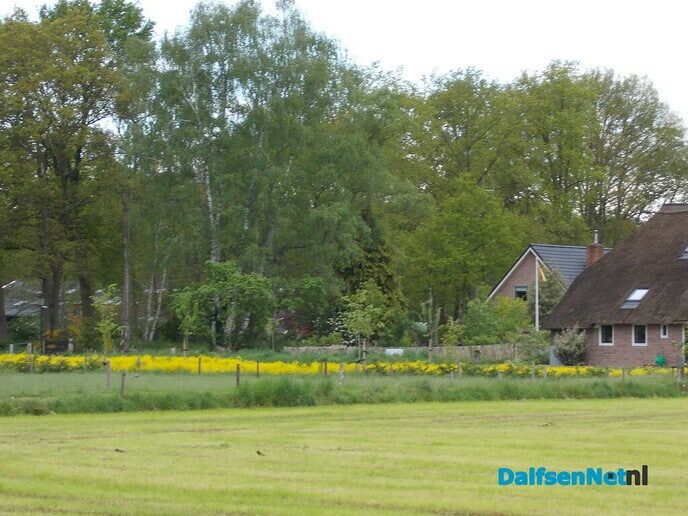 Frisse voorjaarskleuren