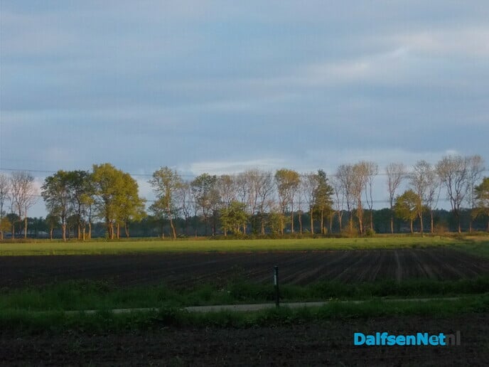 Frisse voorjaarskleuren