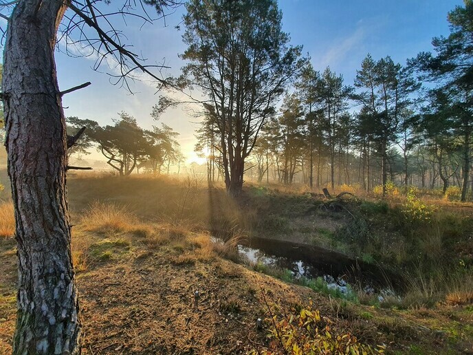 Weekend van de Begraafplaats 2021 | Begraafplaatsen: Vol Liefde