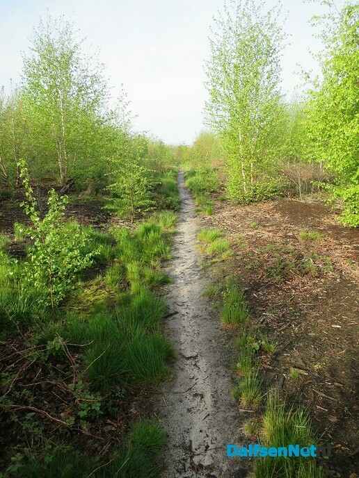 Mooi wandelrondje bij Hoonhorst - Foto: Wim