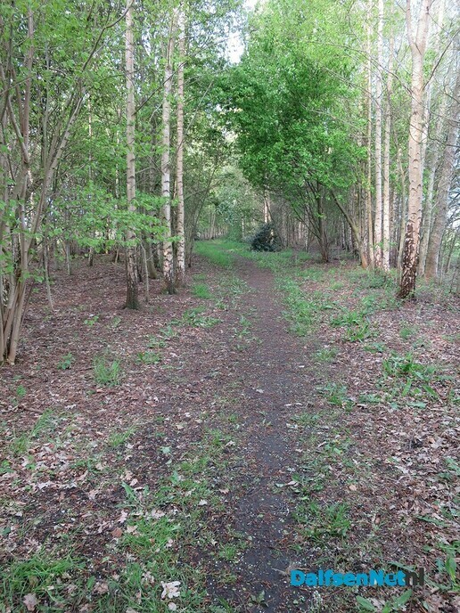 Mooi wandelrondje bij Hoonhorst - Foto: Wim