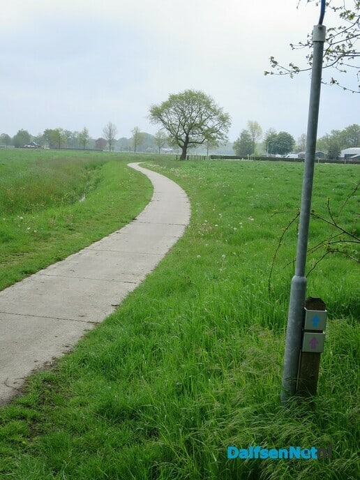 Mooi rondje dauwtrappen Marshoek - Foto: Wim