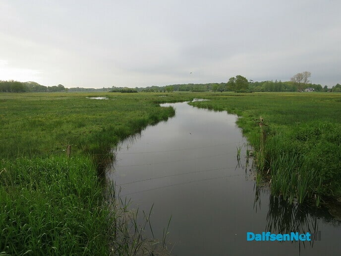 Groeizame meiregen, een zegen voor de natuur - Foto: Wim