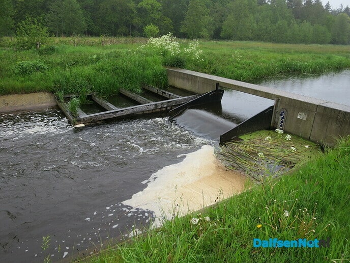 Groeizame meiregen, een zegen voor de natuur - Foto: Wim