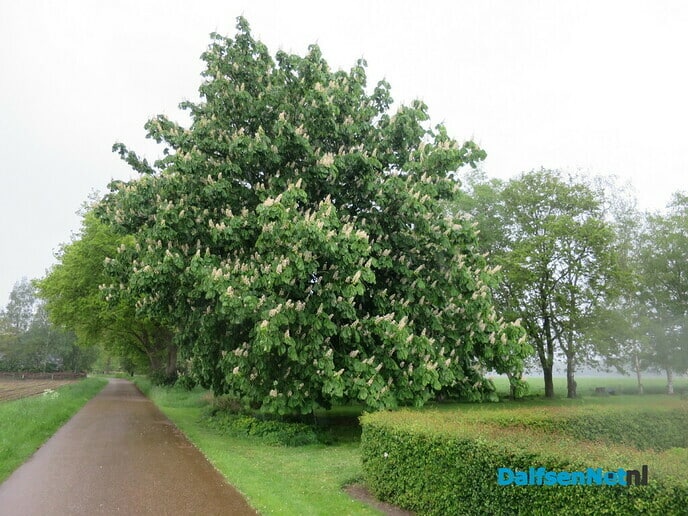 De Mataramweg, een bijzonder gebied - Foto: Wim