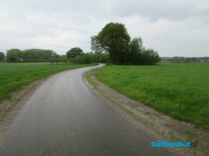 Groeizame meiregen, een zegen voor de natuur - Foto: Wim