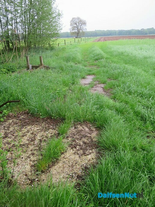 Groeizame meiregen, een zegen voor de natuur - Foto: Wim