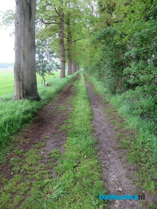 Groeizame meiregen, een zegen voor de natuur - Foto: Wim