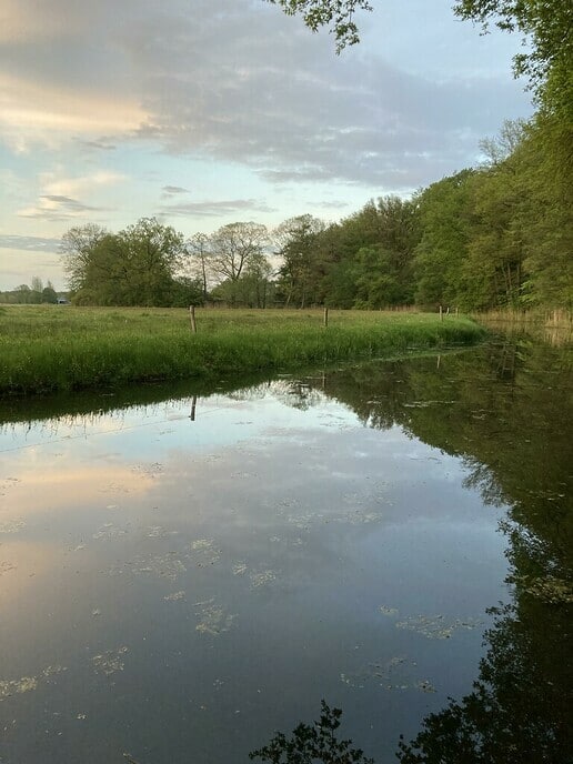 Ga je mee de natuur verkennen in Hoonhorst? - Foto: Ingezonden foto
