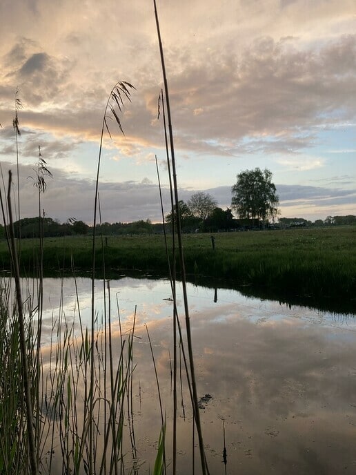 Ga je mee de natuur verkennen in Hoonhorst? - Foto: Ingezonden foto