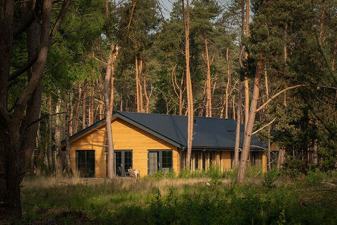 Weekend van de Begraafplaats 2021 | Begraafplaatsen: Vol Liefde