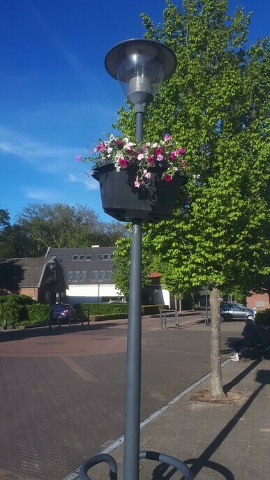 Hoonhorst fleurt op na Corona - Foto: Ingezonden foto