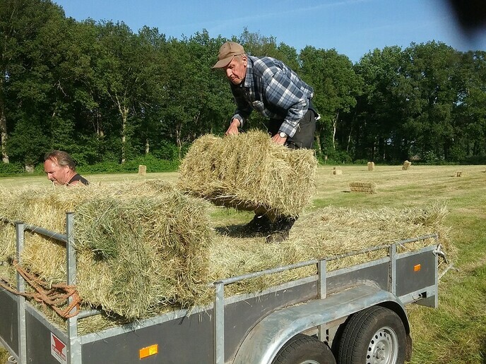 Heuifeest in Oldleusen - Foto: Ingezonden foto