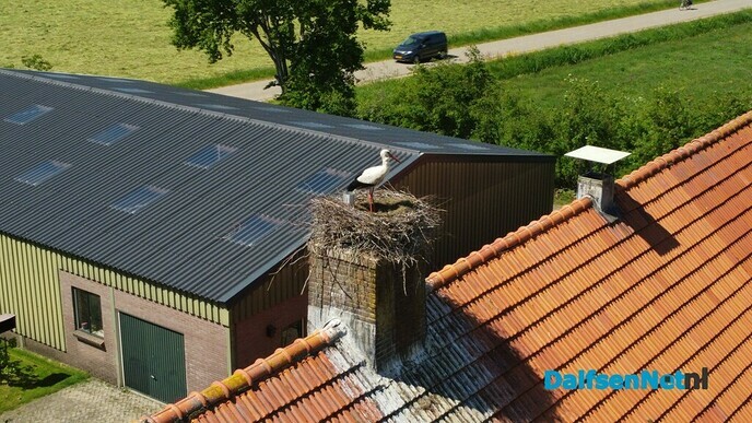 Broeden als of het niets is, nu met dronebeelden - Foto: Johan Bokma