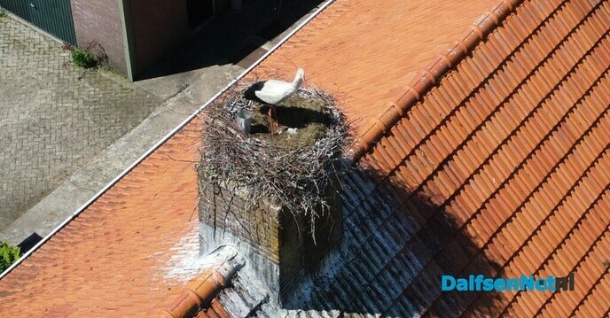 Broeden als of het niets is, nu met dronebeelden - Foto: Johan Bokma