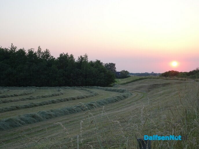 Zwoele zomeravond - Foto: Ingezonden foto