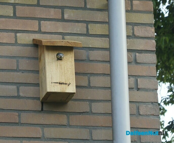 Mezenkastjes - Foto: Ingezonden foto