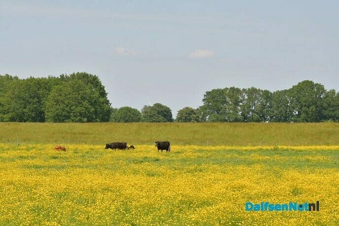 Kijk eens naar wat je onderweg allemaal tegenkomt - Foto: Johan Bokma