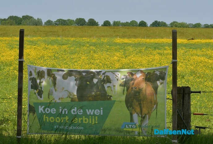 Kijk eens naar wat je onderweg allemaal tegenkomt - Foto: Johan Bokma