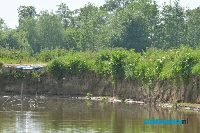 Kijk eens naar wat je onderweg allemaal tegenkomt - Foto: Johan Bokma