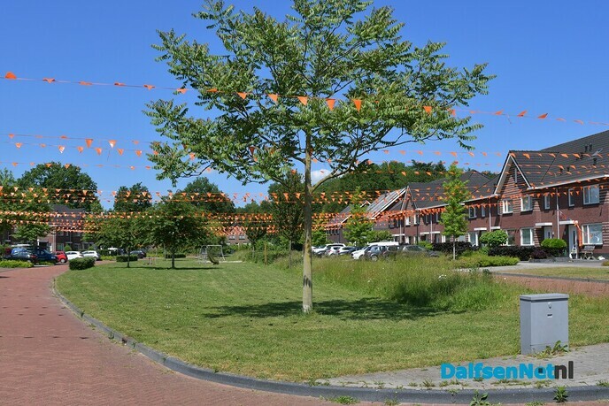 Met wie en hoe kijk jij vanavond naar Nederland – Oekraïne - Foto: Johan Bokma