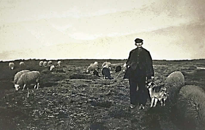 Op de grote stille heide - Foto: Ingezonden foto