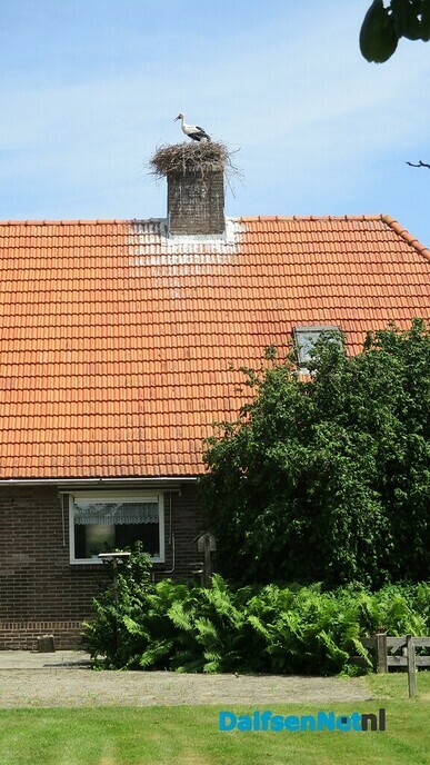 Ze zorgen goed voor het jong
