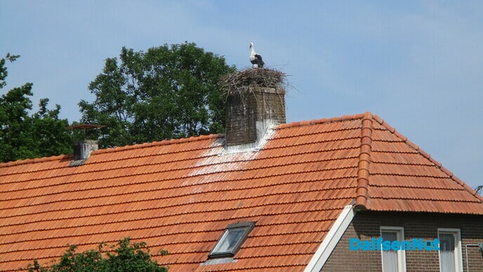Ze zorgen goed voor het jong