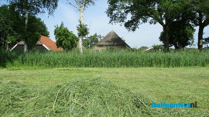 Venuun (van Oenen)
