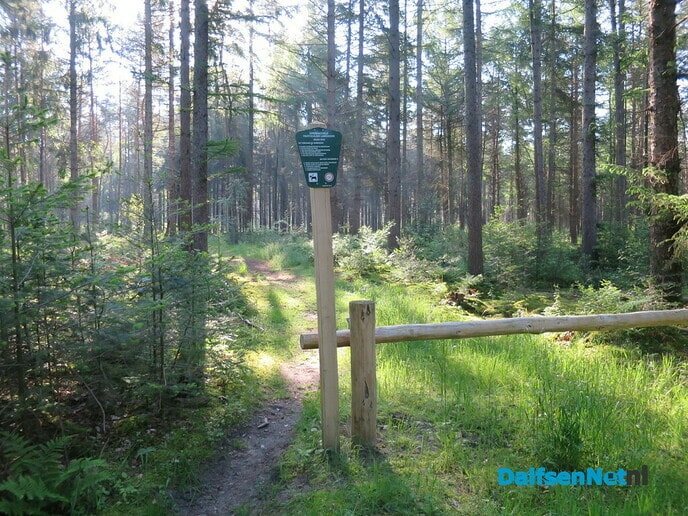 Den Aalshorst en Sterreboswandeling, uitzonderlijke natuur - Foto: Wim