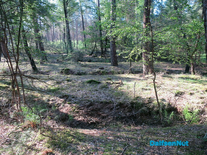 Den Aalshorst en Sterreboswandeling, uitzonderlijke natuur - Foto: Wim