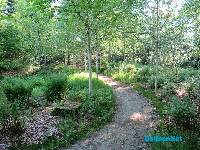 Den Aalshorst en Sterreboswandeling, uitzonderlijke natuur - Foto: Wim