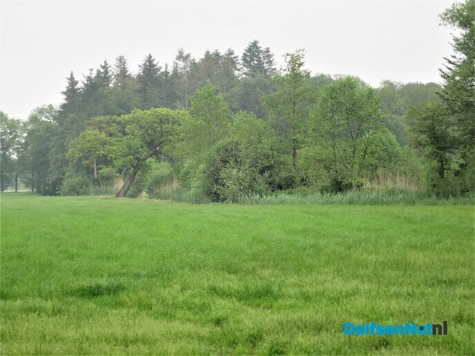 Mooier is haast niet denkbaar - Foto: Wim