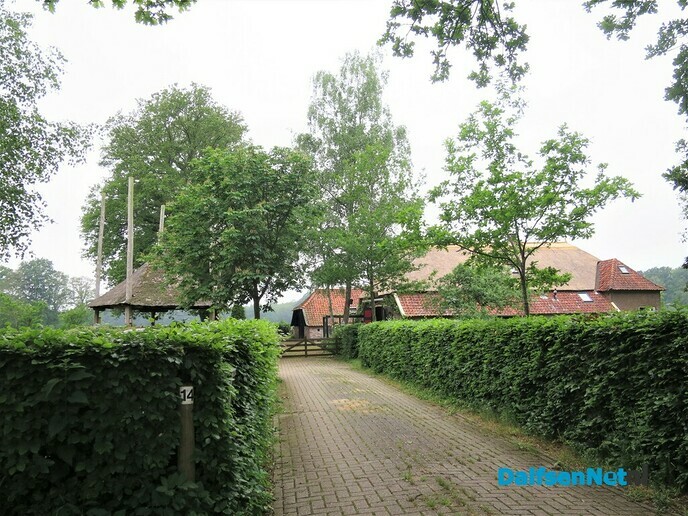 Mooier is haast niet denkbaar - Foto: Wim
