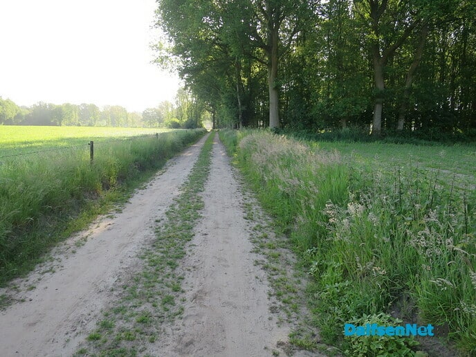 Wandeling Oude Vechtsteeg, met geschiedenis Koningsweg - Foto: Wim