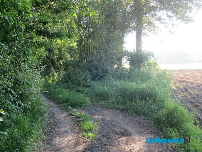 Wandeling Oude Vechtsteeg, met geschiedenis Koningsweg - Foto: Wim