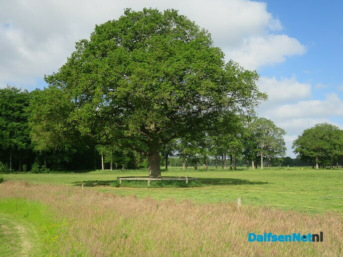Wandeling Oude Vechtsteeg, met geschiedenis Koningsweg - Foto: Willy
