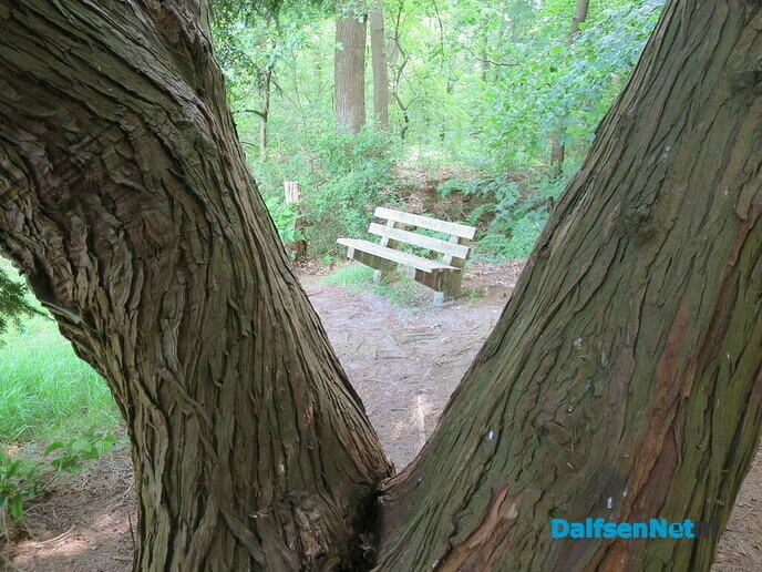 Wandeling Oude Vechtsteeg, met geschiedenis Koningsweg - Foto: Willy